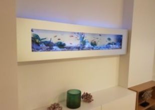 Продам новые стильные аквариумы