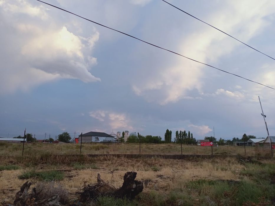 орро а 31 оргинал