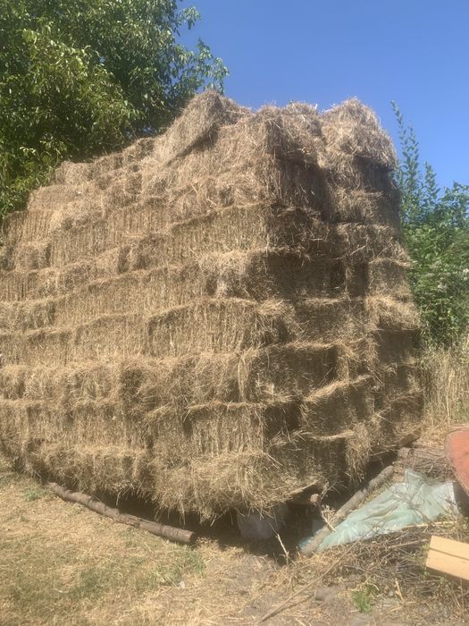 Vand baloti de fan dreptunghiulari