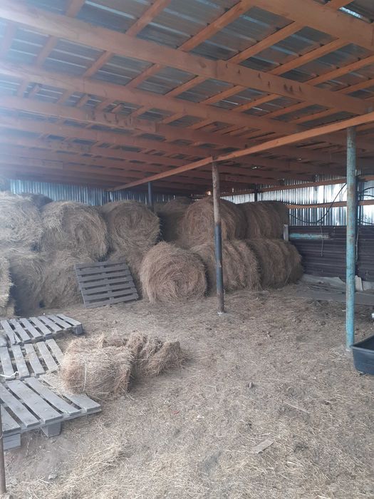 Продам дом Лесхоз