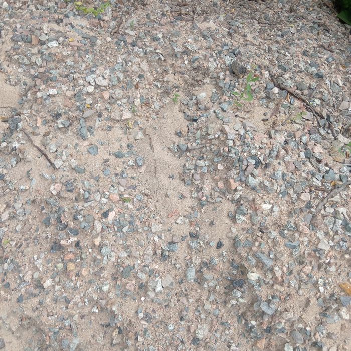 Сникерс самовывоз бесплатно