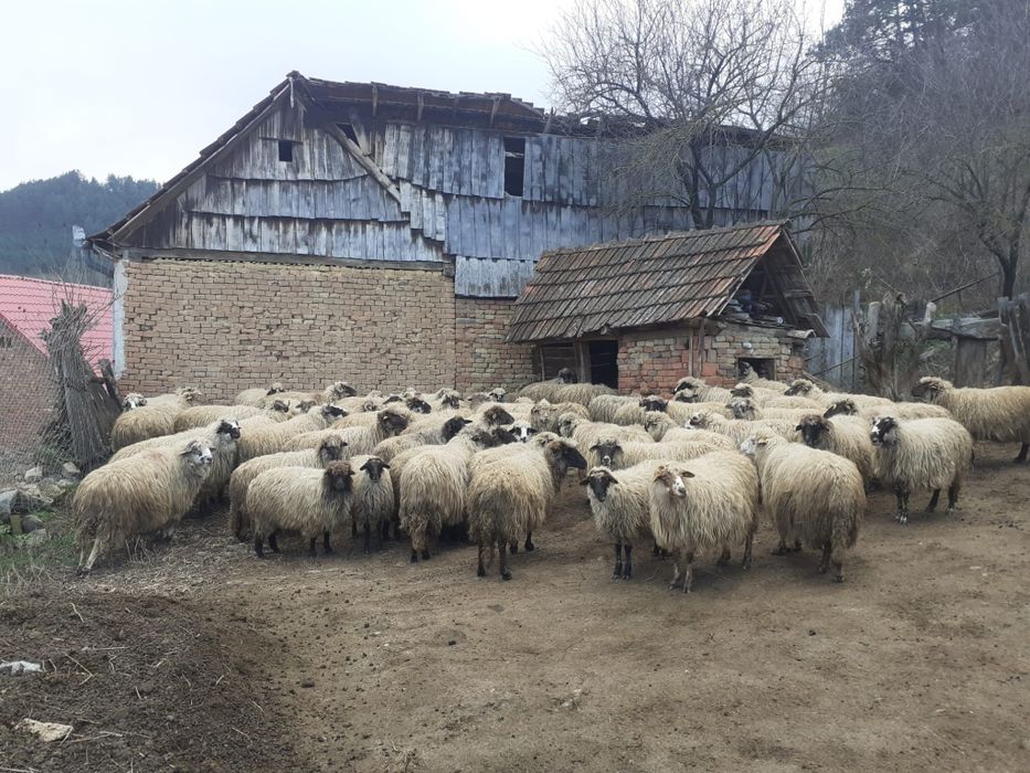 Vind oi informati.la numerele de telefon