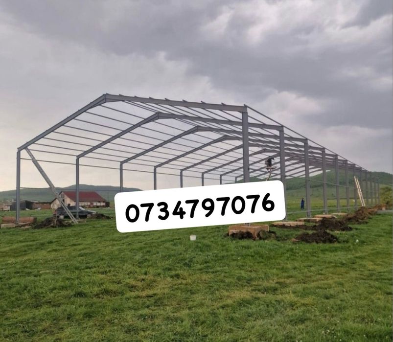 Structuri si Hale metalice