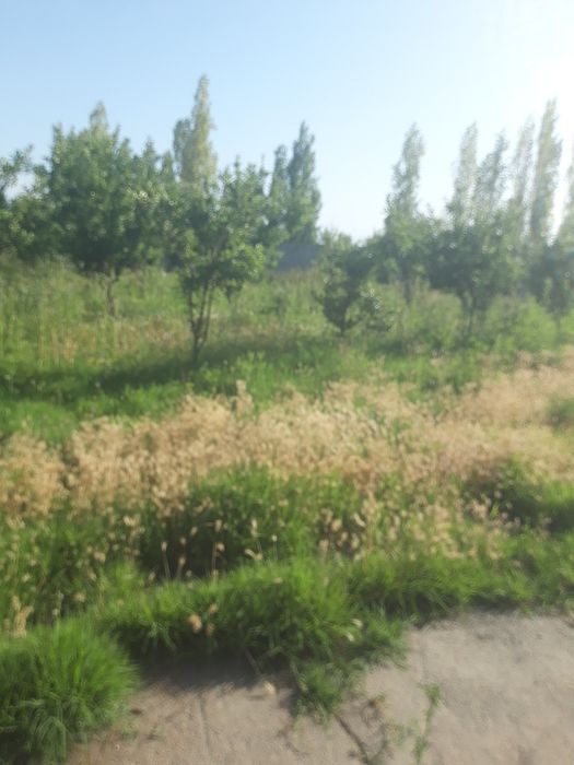 Нотурар ер сотилади. Фаргона шахарда