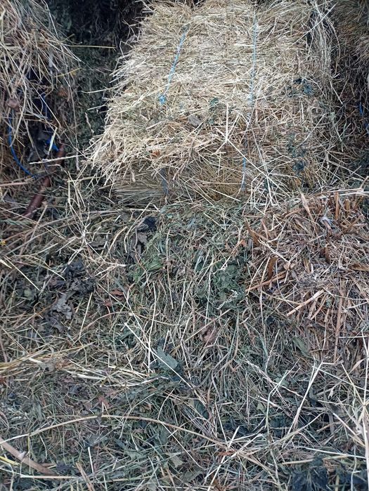 Vând baloți de fan,lucerna,paie de ovaz