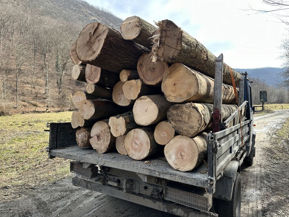 Lemn de foc FAG 3,5 CUB