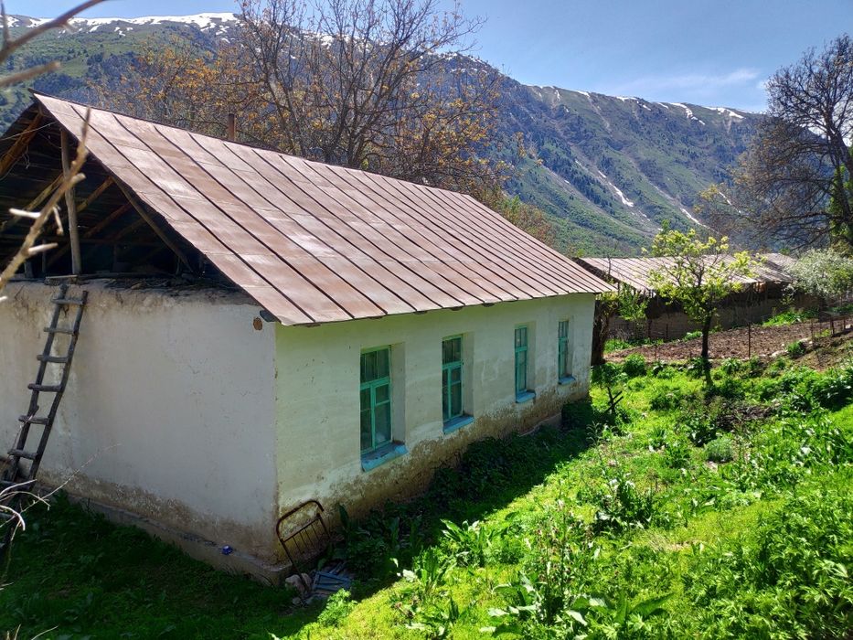 Uchastka sotiladi, Nefrit ko'liga yaqin joyda joylashgan