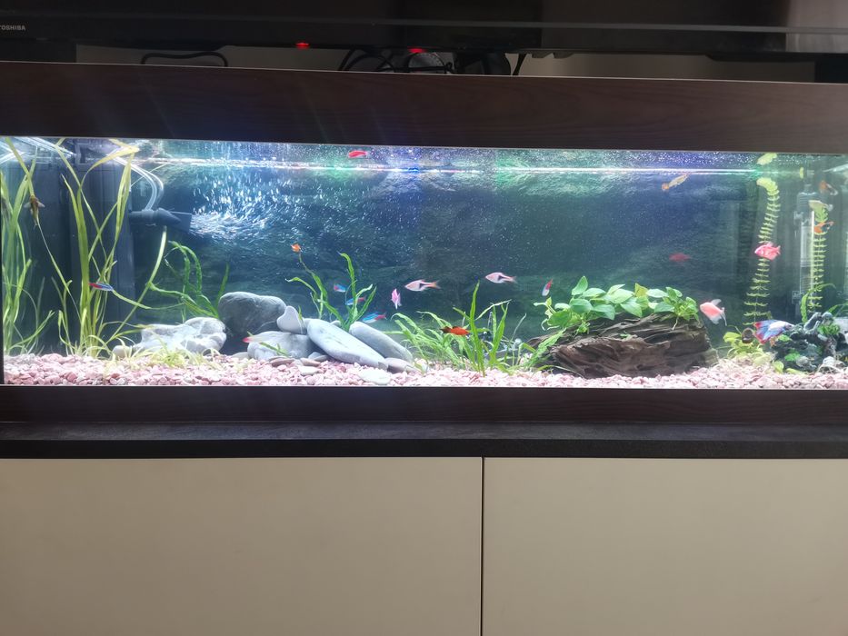 Аквариум 100литра +