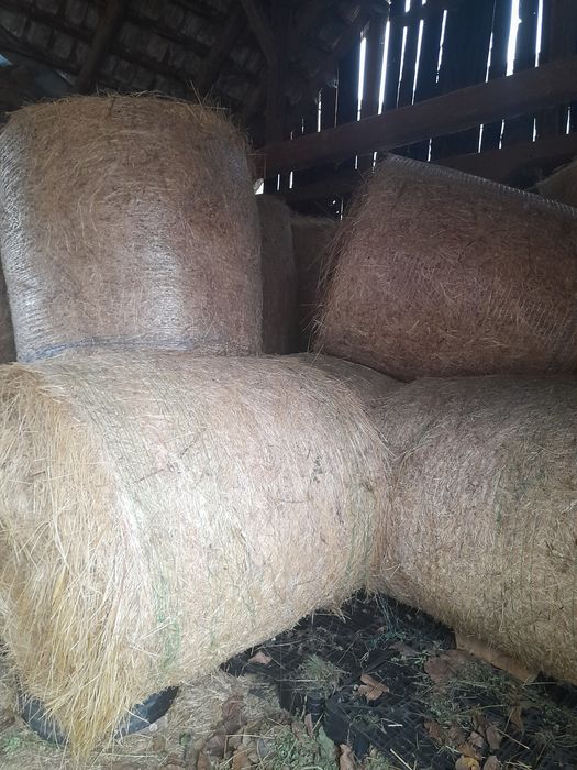 Vând baloti rotunzi fan