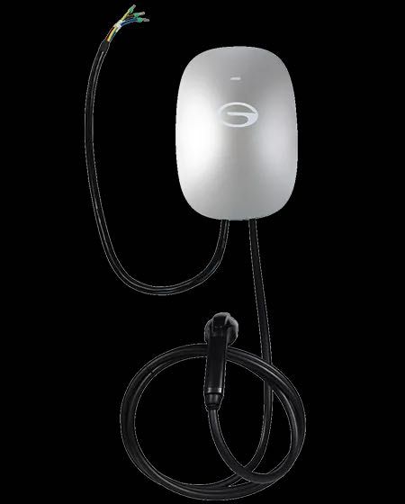 Зарядное устройство GAC Motor (оригинал)