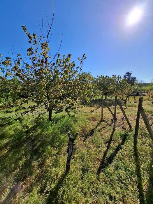 Продава се Парцел в Варна, Автогара - 1040 кв.м за 125 €/кв.м - Снимка #9