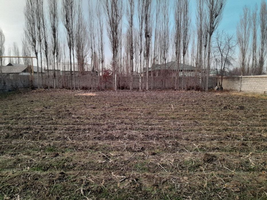 Yer uchastkasi sotiladi