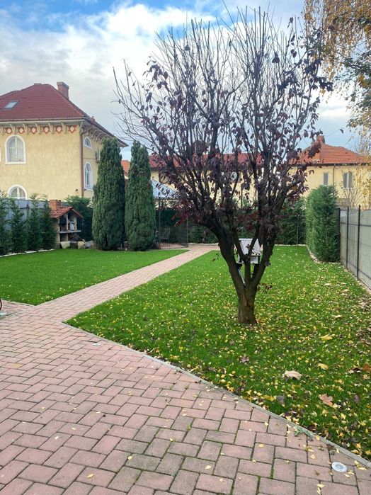 Amenajare curte, gazon, irigații