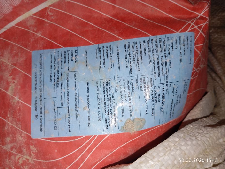 Продам семена кукурузы