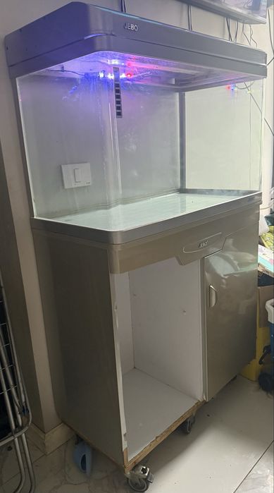 Acvariu pești Jebo  mare cu mobilier URGENT