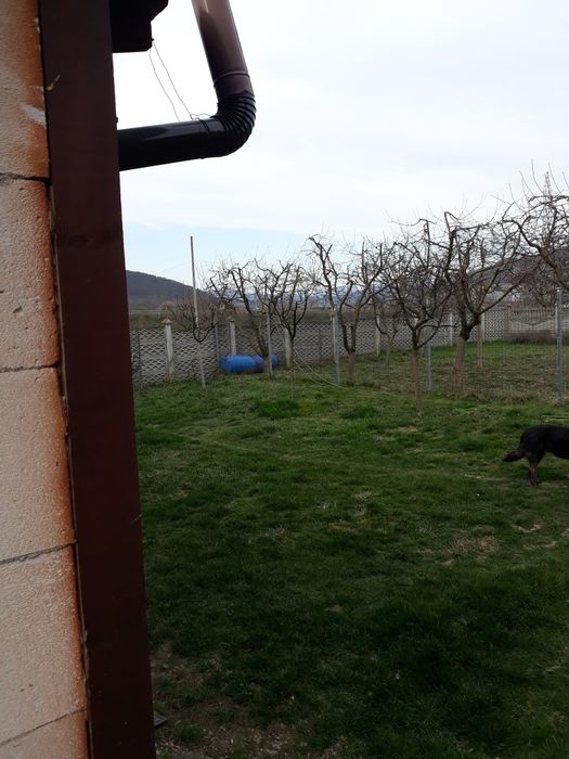 Vind casa în Mintia