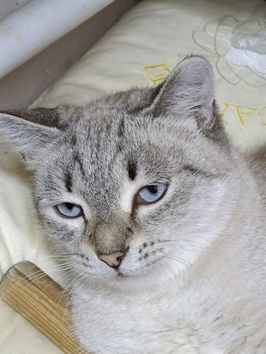 Слава ждёт своего человека.