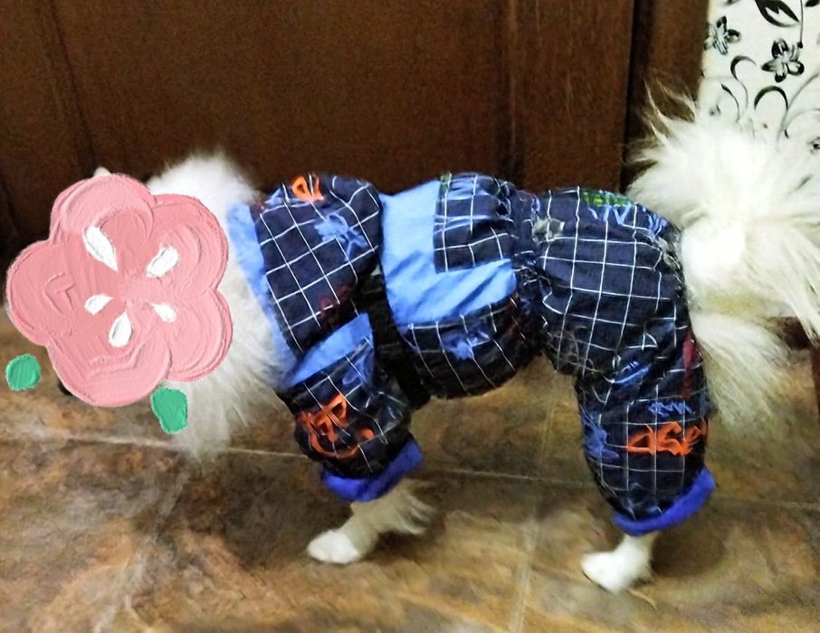 одежда для собак размер М