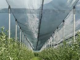 IMPORTAM:Plasa Protecție IMPOTRIVA GRINDINEI/Antigrindină, 34gr/mp