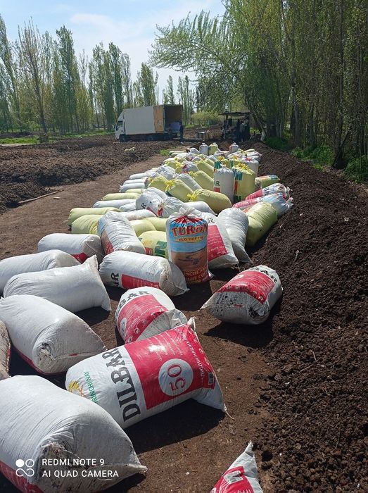 Biogomus yetkazib beriladi