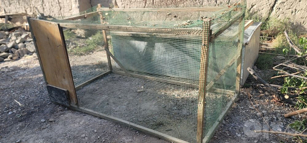 Катак сотилади товук ва жужалар учун