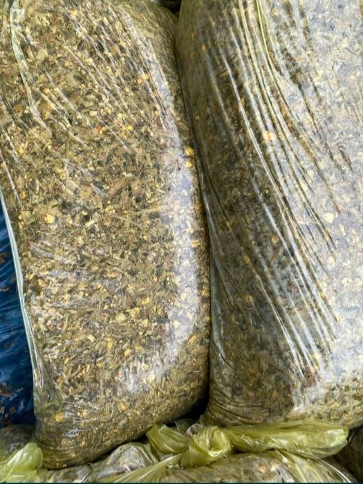 Selos 21.000min mol qoʻyga