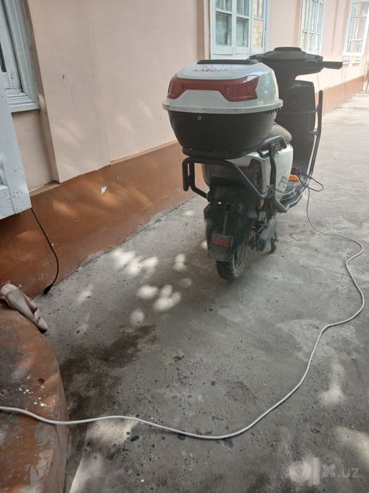 Bir kum kafolat beramiz albata