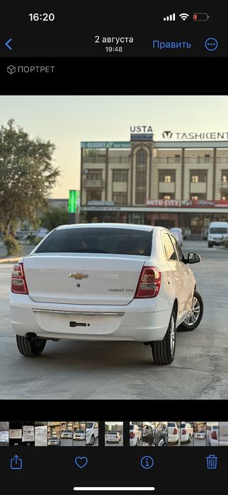 Toza shut 2025 bulip keldi