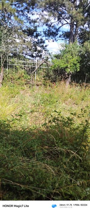 Косене на парцели дворове