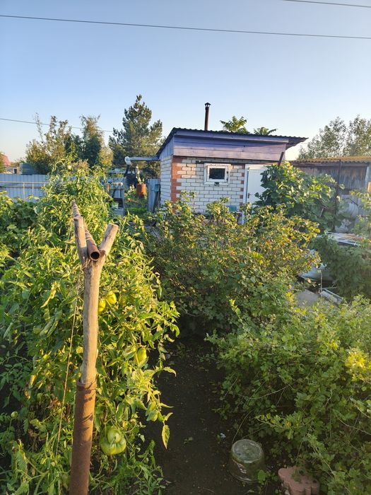 Продам дачу в Ромашке.