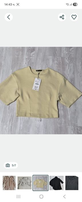 ЕВИС РИЗА различни цветове