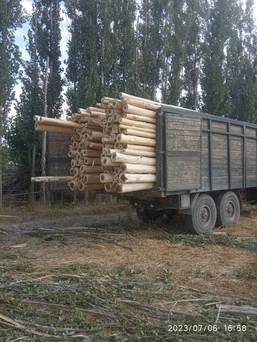 Terak mahsulotlari optim narhda