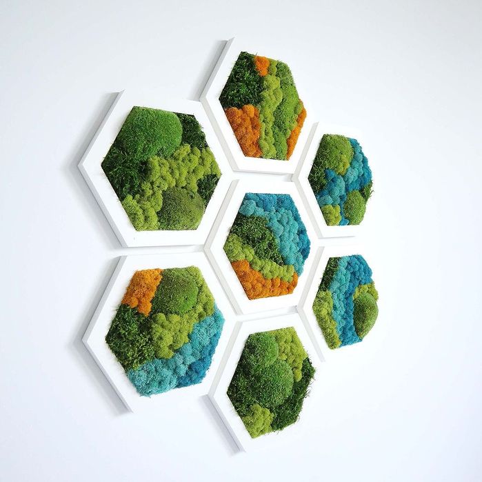 Fitostena | Mox | Фитозона | Стабилизированное