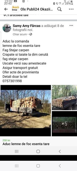 Lemne de foc esență tare