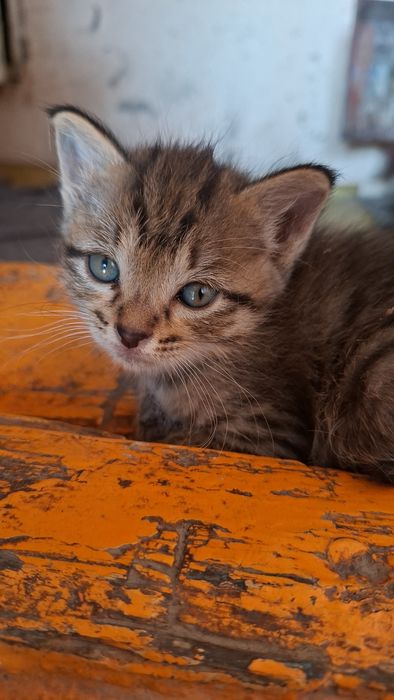 Счастье, которое точно не даст заскучать
