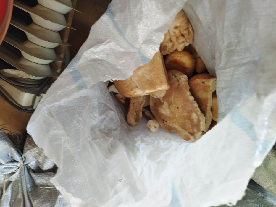 Қаткан нан малга беруге