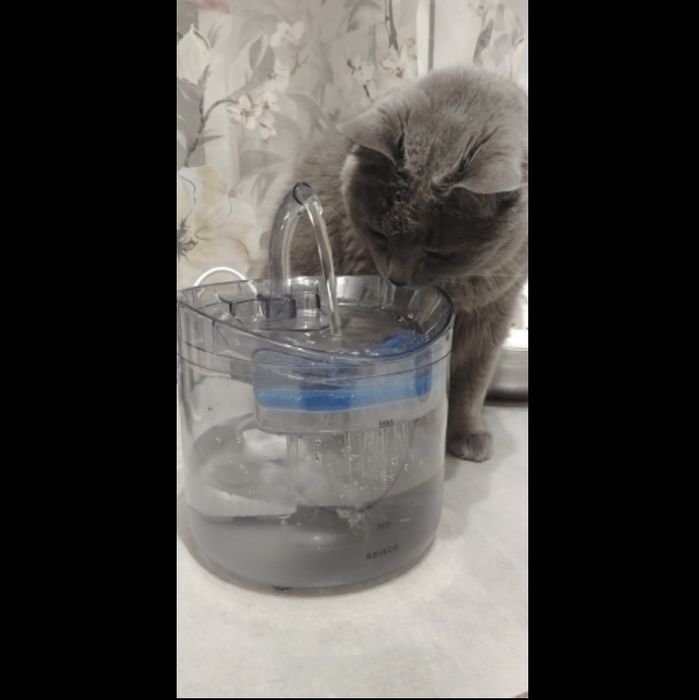 Питьевой фонтанчик для кошек