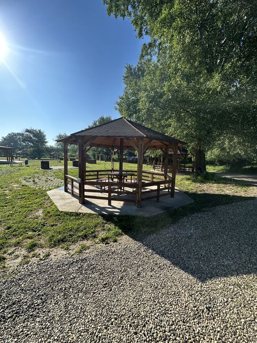 Foisoare terase pergole din lemn