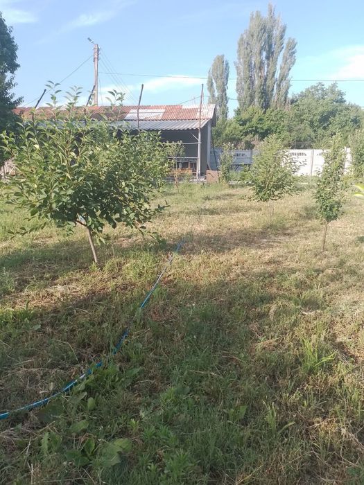 Yangi toshkentga yaqin joyda Dacha sotiladi srochna