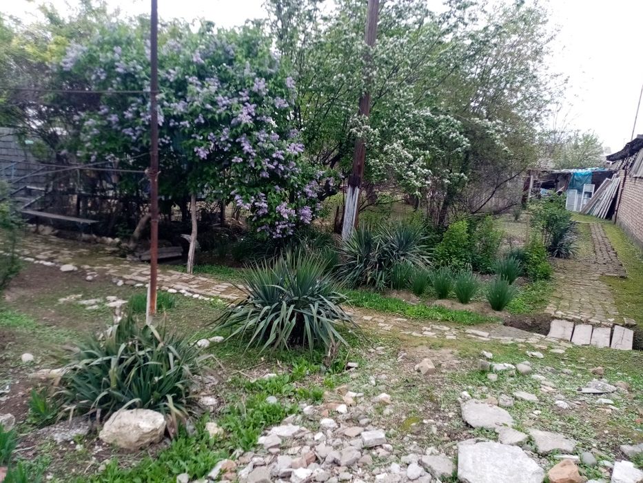 Срочно сотилади. Участка без маклер.