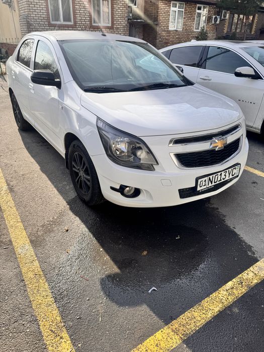 Cobalt 2025 midnight