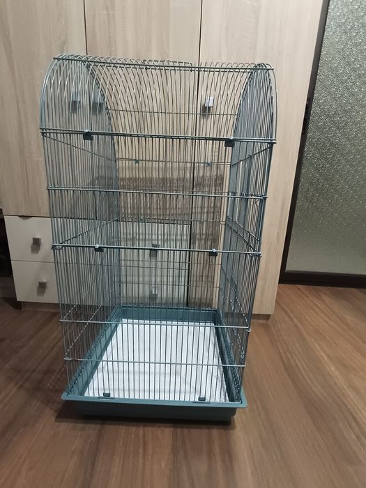 COLIVIE cusca pasari