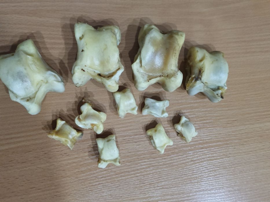 Продам Асык ! Срочно