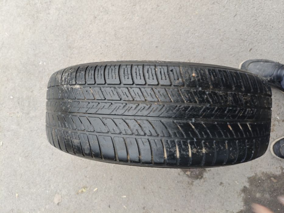 1 штук   резина нормальное