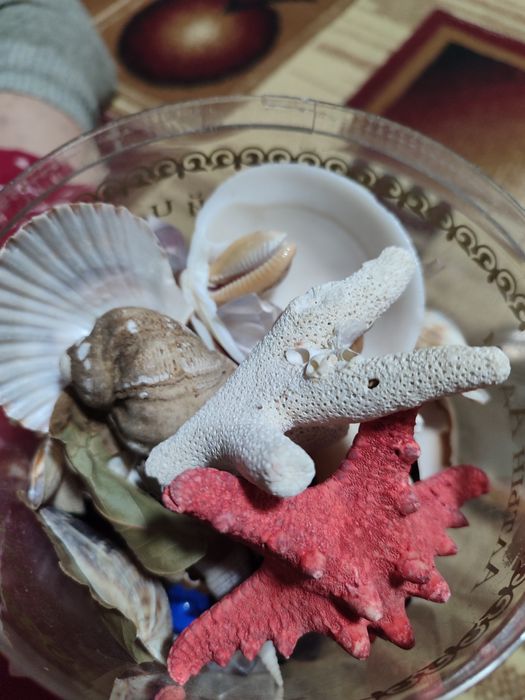 Горка и многое другое