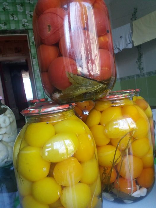 Помидоры маринованные