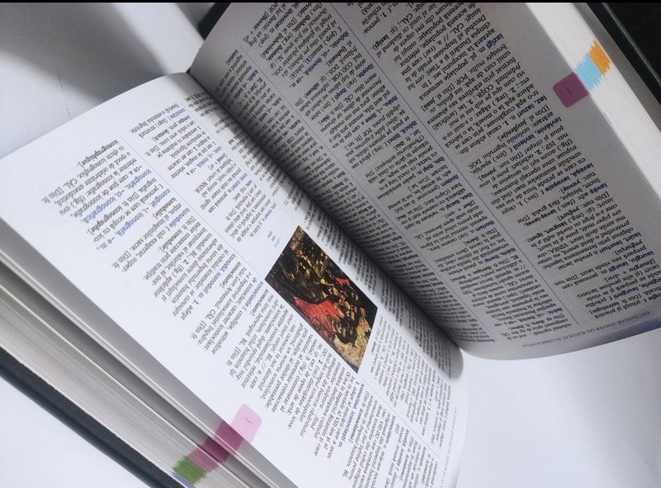 Dicționar universal ilustrat al limbii române