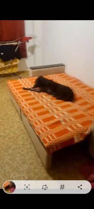 Отдам в хорошие руки!