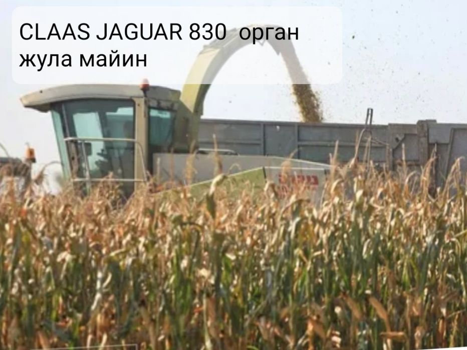 Силос сотилади бохорги домик нархи 1100 сом жойида  навал холода 15 т