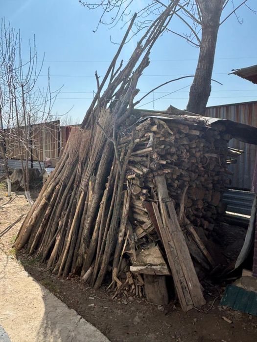 Продам дрова самовывозом